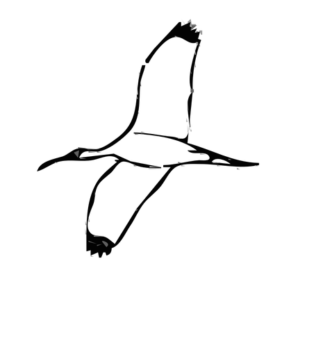 Ibis dřevo ptáka vektorový obrázek